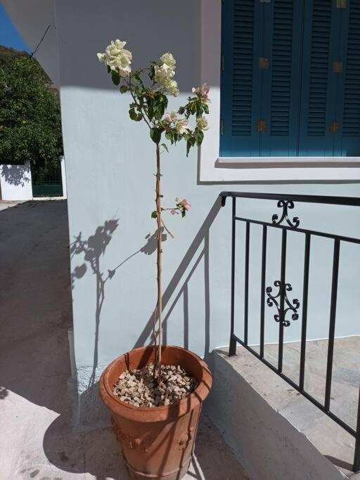 Studio Bella Epidaurus Exteriér fotografie